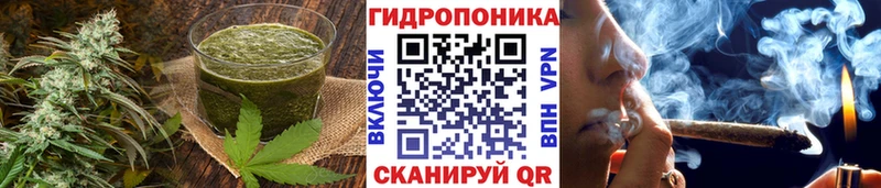 цены наркотик  Рудня  OMG маркетплейс  Печенье с ТГК конопля 