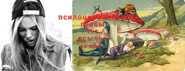 гидропоника Арсеньев