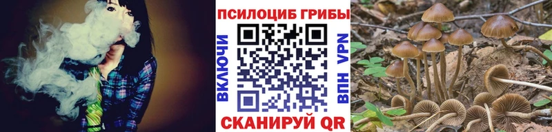 Псилоцибиновые грибы MAGIC MUSHROOMS  Рудня 